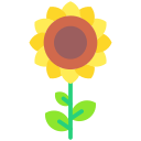 girasol icon