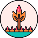 fuego icon