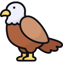 Águila icon