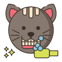 gato icon