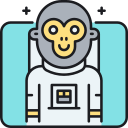 espacio icon