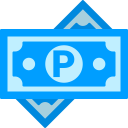 pula icon