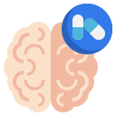 cerebro humano