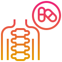 columna vertebral icon