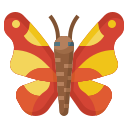 mariposa