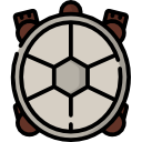 tortuga icon