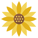 girasol