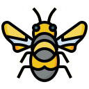 abeja