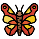 mariposa