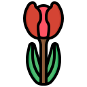 tulipán icon