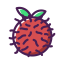 rambután icon