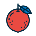 naranja icon