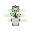 flor 