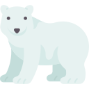 oso polar