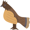 pájaro icon