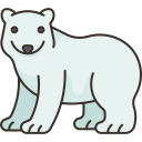 oso polar