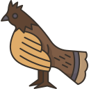 pájaro icon