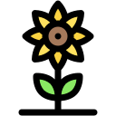 girasol icon