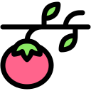 tomate icon