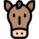 caballo icon