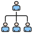 estructura de organización