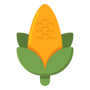 fruta icon