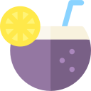 bebida de coco icon