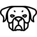 Rottweiler 