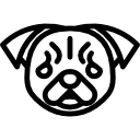 pug 
