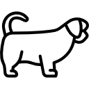shih tzu icon