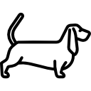 basset houd icon