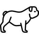 bulldogge icon
