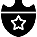 insignia de seguridad