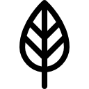 liść drzewa ikona