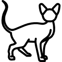 sphynx cat Ícone