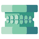 이 icon