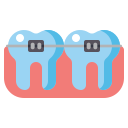 이 icon