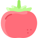 tomate icon