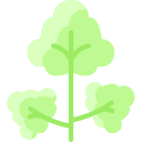 cilantro icon