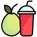 guayaba icon