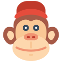 macaco icon