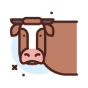 vaca icon