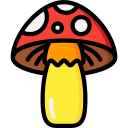 cogumelo venenoso icon