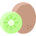 kiwi icon