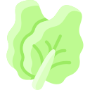 lechuga icon