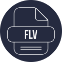 archivo flv icon