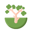 naturaleza icon