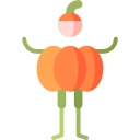 calabaza icon