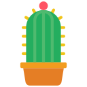 cactus icon