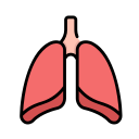 pulmones icon